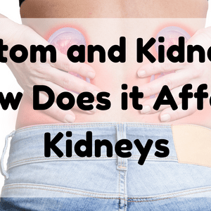 Featured Image (Kratom And Kidneys)