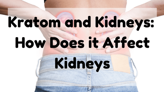 Featured Image (Kratom And Kidneys)