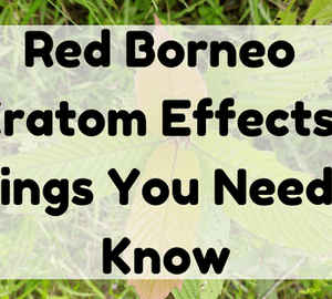 Featured Image (Red Borneo Kratom Effects)
