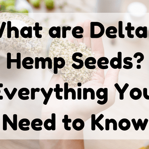 Featured Image (What Are Delta 8 Hemp Seeds)