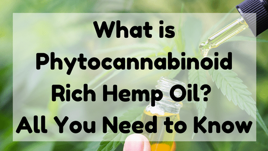 Featured Image (What Is Phytocannabinoid Rich Hemp Oil)