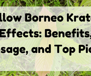 Featured Image (Yellow Borneo Kratom Effects)