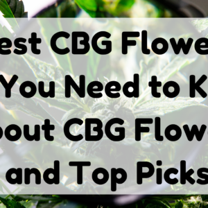 Best CBG Flower featured image