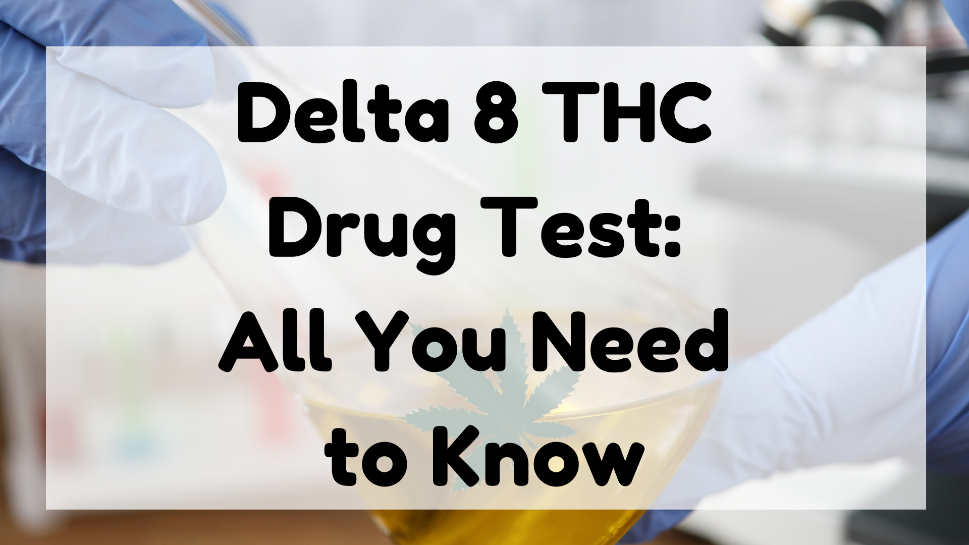 Delta 8 THC Drug Test featured image