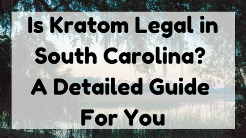 Is Kratom Legal In South Carolina