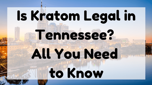 Is Kratom Legal In Tennessee