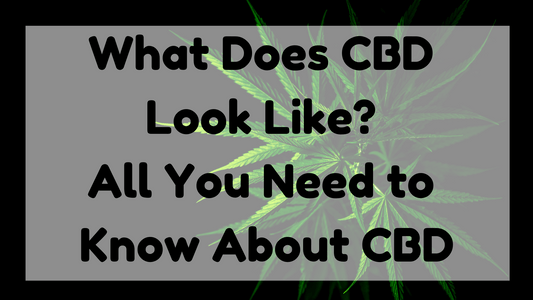 What Does CBD Look Like