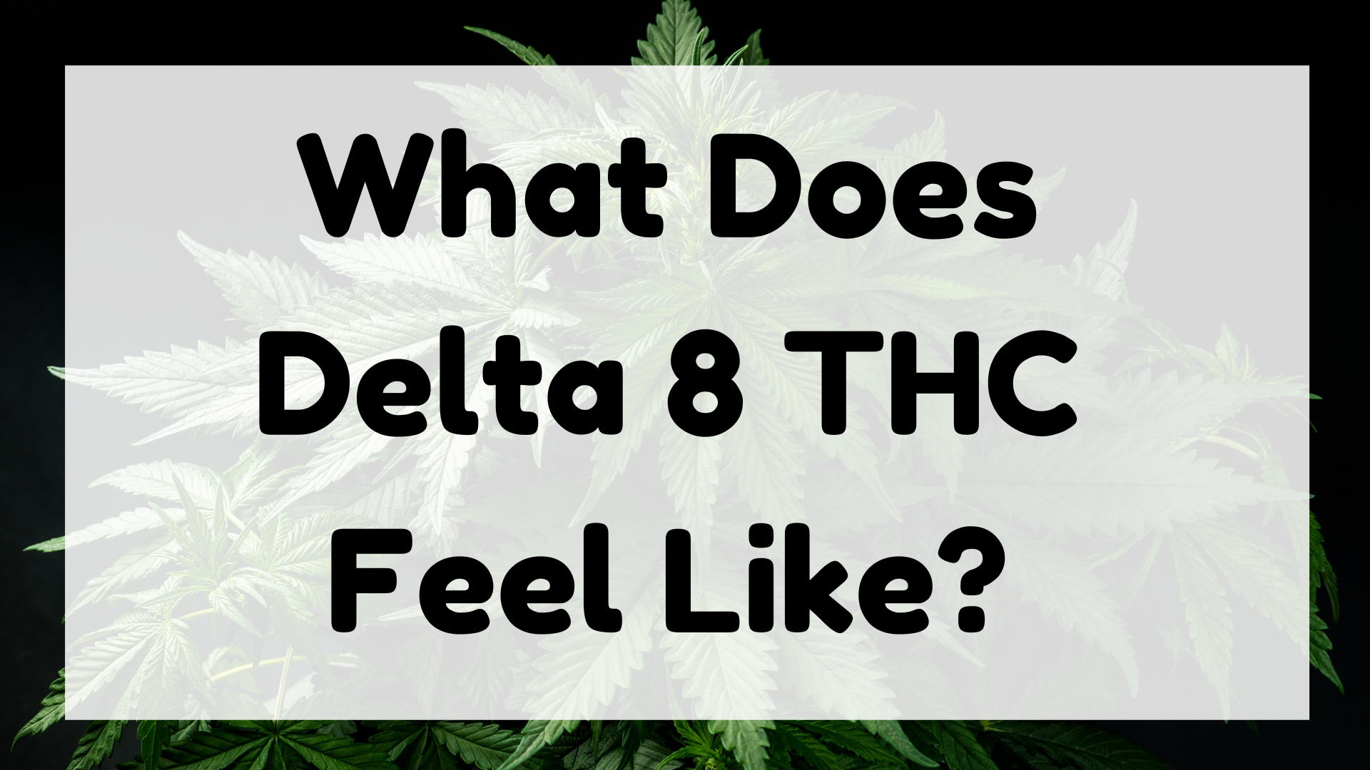 What does delta 8 THC feel like featured image